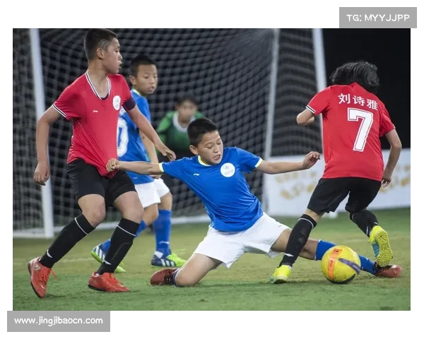 哈尔滨东北虎主场迎战太原晋卫军 北赛区激战正酣 哈尔滨东北虎主场迎战太原晋卫军 北赛区激战正酣